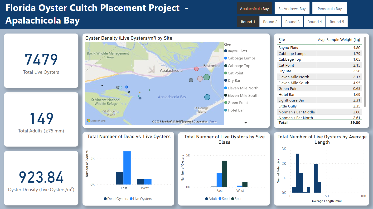 Monitoring Dashboard Screenshot