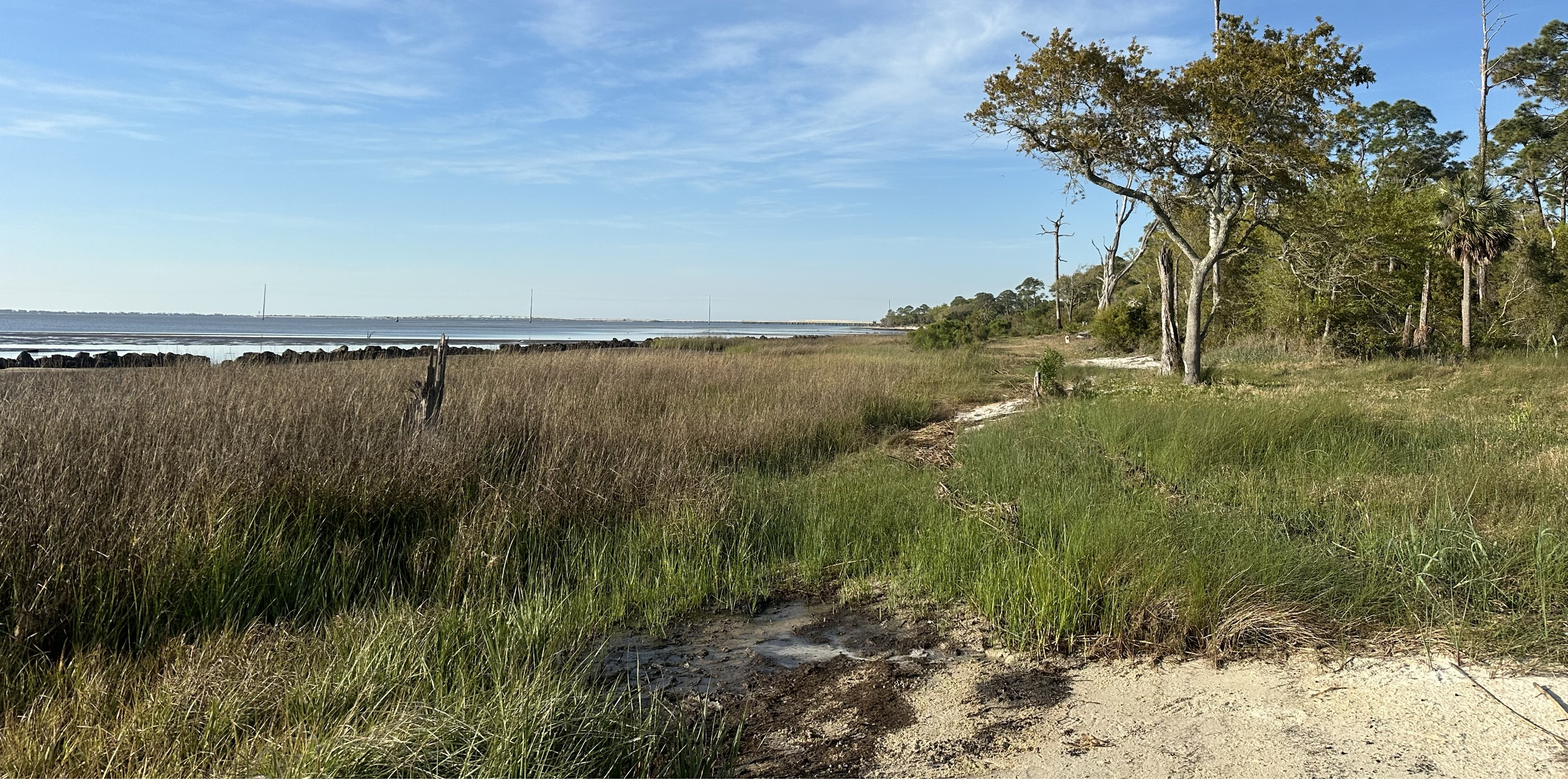 Cat Point Living Shoreline Image 1